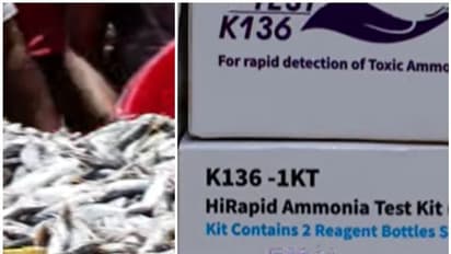 മീനിലെ മായം അറിയാനുള്ള പരിശോധന കിറ്റ് പുറത്തിറക്കിയിട്ട് 4 വർഷം; പൊതുവിപണിയിൽ എത്തിയിട്ടില്ല