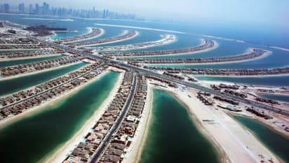 இந்தியாவிலிருந்து கோதுமை பொருட்களை ஏற்றுமதி செய்ய தடை... ஐக்கிய அரபு அமீரகம் அதிரடி!!