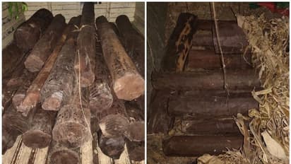 హైదరాబాద్‌లో ఎర్రచందనం స్మగ్లింగ్.. రూ. 60 లక్షల విలువైన దుంగలు స్వాధీనం