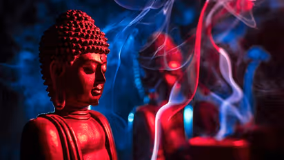 ಮನಸ್ಸನ್ನು ಅರ್ಥ ಮಾಡಿಕೊಳ್ಳುವುದು ಹೇಗೆ? ಬುದ್ಧ ಹೇಳಿದ 6 ಹಂತಗಳು..