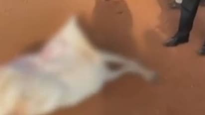 கரும்புலி வேட்டையர்கள் துப்பாக்கி சூடு... மூன்று காவலர்கள் உயிரிழப்பு... ம.பி.யில் பரபரப்பு..!