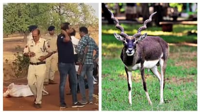 കൃഷ്ണമൃഗ വേട്ടക്കാരുടെ വെടിയേറ്റ് മൂന്ന് പൊലീസുകാർ കൊല്ലപ്പെട്ടു; സംഭവം മധ്യപ്രദേശിൽ