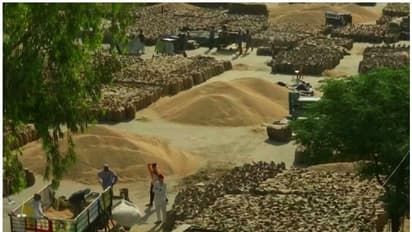 ഗോതമ്പ് സംഭരണം ഈ മാസം 31 വരെ തുടരുമെന്ന് കേന്ദ്രം; സംഭരണം ഊർജിതമാക്കാൻ എഫ്‍സിഐക്ക് നിർദേശം