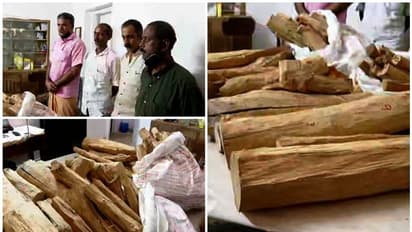 വൻ ചന്ദനവേട്ട, കൊച്ചി നഗരത്തിലെ വീട്ടിൽ നിന്ന് 92 കിലോ ചന്ദനത്തടി പിടിച്ചു