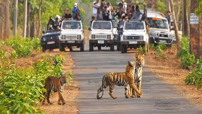 ಪ್ರಾಣಿ ನಿಗಾ ಕ್ಯಾಮೆರಾ ಬಳಸಿ ಕಾಡಲ್ಲಿ ಸ್ತ್ರೀಯರ ಶೌಚ ಸೆರೆ!