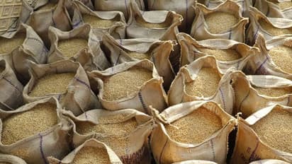 ధాన్యం కొనుగోలుకై అమలాపురం  కలెక్టరేట్  వద్ద రైతుల ధర్నా:  కొనుగోలు  చేస్తామని హామీ ఇచ్చిన  అధికారులు 