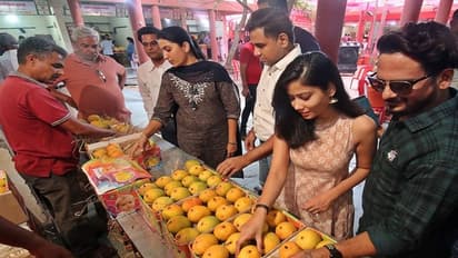 दो साल बाद मैंगो जत्रा में महकी आम की खुशबू, जानिए कहां मिल रहा सबसे मीठा आम, क्या है इसकी कीमत
