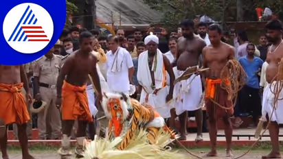 Udupi: ಹುಲಿ ಬಂತು ಹುಲಿ ಓಡಿ ಓಡಿ ಓಡಿ: ದೈವದೊಂದಿಗೆ ಭಕ್ತರ ಆಟ!