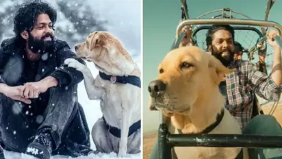 After Yash's KGF Chapter 2, Rakshit Shetty's 777 Charlie to release pan-India