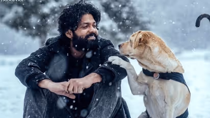 777 Charlie:ఈ కుక్క సినిమా కలెక్షన్స్ తెలిస్తే మతి పోతుంది