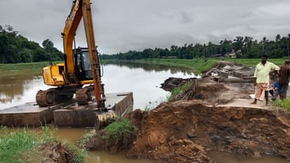 കനത്ത മഴ, മടവീഴ്ച: വിളവെടുക്കാൻ പാകമായ 30 ഏക്കർ നെൽകൃഷി നശിച്ചു