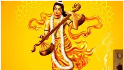 Narada Jayanti 2022 :  ഇന്ന് നാരദ ജയന്തി ; ഈ ദിവസം വ്രതം എടുക്കുമ്പോൾ ശ്രദ്ധിക്കേണ്ടത്...
