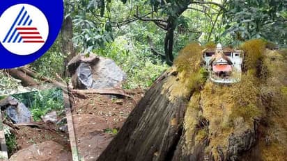 Mining Effect ಬಂಟ್ವಾಳ ಕಾರಿಂಜೇಶ್ವರನಿಗೆ ಆಪತ್ತು, ಉರುಳಿಬಿದ್ದ ಬೃಹತ್ ಬಂಡೆ!