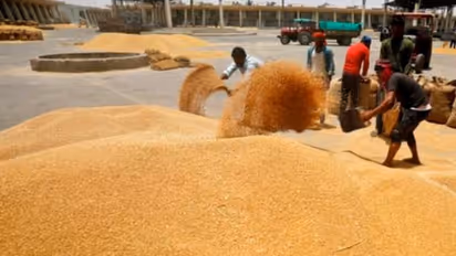 ಸೇನೆ ಸೂಚನೆಯಂತೆ ಗಡಿಯಲ್ಲಿ ಗೋಧಿ ಕಟಾವು, ಎಕ್ಸ್‌ಪ್ರೆಸ್‌ವೇನಲ್ಲಿ ವಾಯುಪಡೆಯ ಸಮರಾಭ್ಯಾಸ