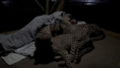 आज देखिए यह दिल दहलाने वाला वीडियो आपके रोंगटे खड़े हो जाएंगे, 6 मिनट के लिए सब भुला बैठेंगे!