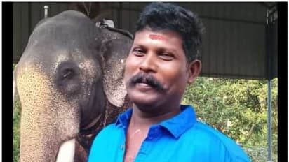 വരിക്കാശേരി മനയിൽ ആന പാപ്പാനെ കൊന്നു; ചികിൽസയിലുള്ള ആനയാണ് പാപ്പാനെ ആക്രമിച്ചത്