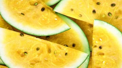 लाल से भी ज्यादा फायदेमंद होता है इस रंग का तरबूज, कैंसर जैसी गंभीर बीमारी को भी कर सकता है दूर