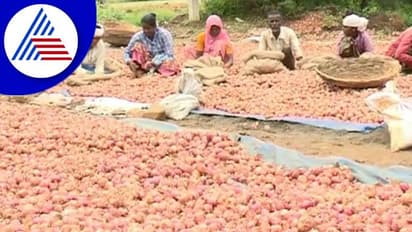 Chitradurga ಈರುಳ್ಳಿ ಬೆಲೆ ಕುಸಿತಕ್ಕೆ ಕಂಗಾಲಾದ ರೈತರು