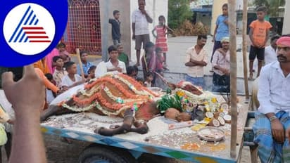 Ballari ಗೋವಿನ ಅಂತ್ಯಸಂಸ್ಕಾರಕ್ಕೆ ಸಾವಿರಾರು ಮಂದಿ, ಕಣ್ಣೀರಾದ ಜನತೆ