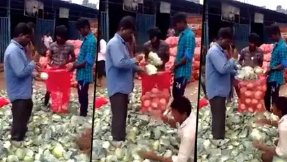 Here's why 'India does not need robotic automation'; watch the viral video