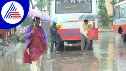 ಕಾಫಿನಾಡಿನಲ್ಲಿ ಮಳೆ ಅಬ್ಬರ: ಮಲೆನಾಡು ಮಾತ್ರವಲ್ಲ, ಜಿಲ್ಲೆಯ ಬಯಲು ಸೀಮೆಯಲ್ಲೂ ಮಳೆ