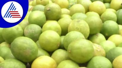 ಬೇಸಿಗೆ ದಾಹಕ್ಕೆ ನಿಂಬೆಹಣ್ಣಿನ ದರ ಏರಿಕೆ: 100 ರೂ ಇದ್ದ ಕೇಜಿ ನಿಂಬೆಹಣ್ಣಿಗೆ ಈಗ 300 ರೂ!