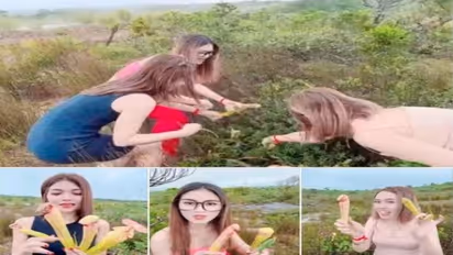 यहां खिलता है मर्दों के प्राइवेट पार्ट जैसा फूल, सरकार का आदेश- लड़कियां इसे नहीं तोड़ सकतीं