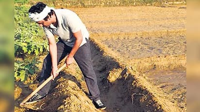 10 PHOTOS में देखें नवाज़ुद्दीन सिद्दीकी का किसान अवतार, आज भी गांव जाकर खेतों में करते हैं काम