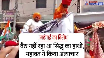 इधर महंगाई के विरोध में हाथी पर बैठकर निकले सिद्धू , उधर रोड रेज मामले में SC ने सुना दी 1 साल की सजा