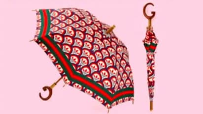 एडिडास और गुच्ची ने बाजार में उतारा अजीबो-गरीब छाता, कीमत सुनकर उड़ जाएंगे होश