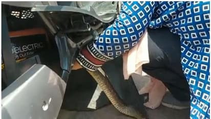 స్కూటీలో ఇరుక్కుపోయిన పెద్ద పాము.. సురక్షితంగా బయటకు తీసిన మహిళ.. వైరల్ వీడియో ఇదే