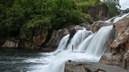 மணிமுத்தாறு அருவியில் வெள்ளப்பெருக்கு… சுற்றுலா பயணிகள் குளிக்க தடை!!