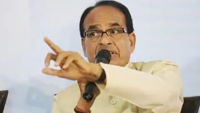 CM शिवराज ने कलेक्टर को लगाई फटकार, कहा-जब मैं बोल रहा हूं तो तुम्हें मेरे सामने बोलने का अधिकार नहीं