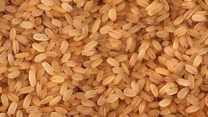 500ലധികം കേന്ദ്രങ്ങളിലേക്ക് 'അരിവണ്ടി', സൗജന്യ വിതരണം; വെള്ള, നീല കാര്ഡുടമകള്ക്ക് പ്രത്യേക നിരക്കില് അരി