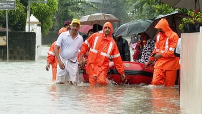 മഴ അതിശക്തം: എറണാകുളം ജില്ലയിൽ കോടിക്കണക്കിന് രൂപയുടെ കൃഷി നശിച്ചു