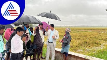 Davanagere: ಅನ್ನದಾತರ ಬದುಕಲ್ಲಿ ಬಿರುಗಾಳಿ ಎಬ್ಬಿಸಿದ ವರುಣ: ಮಳೆ ಹಾನಿ ಪ್ರದೇಶಕ್ಕೆ ಡಿಸಿ ಭೇಟಿ