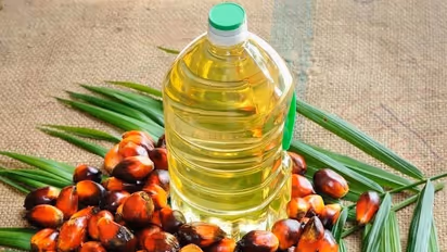 Imports of palm oil in India fall 19 per cent in September