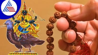 Worshipping Shani: ಶನಿಯನ್ನು ಪೂಜಿಸುವಾಗ ಹೀಗೆ ಮಾಡಿದ್ರೆ ಅಪಾಯ ತಪ್ಪಿದ್ದಲ್ಲ!