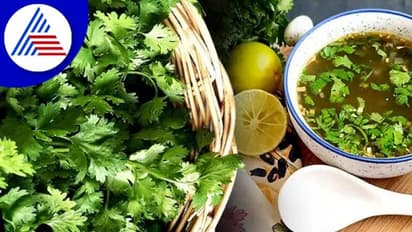 ತೂಕ ಹೆಚ್ಚಾದ್ರೆ ಚಿಂತೆ ಬೇಡ, ಸೊಪ್ಪಿನಲ್ಲಿದೆ ಕೊಬ್ಬು ಕರಗಿಸೋ ಶಕ್ತಿ