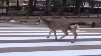 यूपी पुलिस ने ट्विटर पर पोस्ट किया वीडियो और लिखा भावुक मैसेज, यूजर्स बोले- कौन है इस पेज का एडमिन..कमाल का है