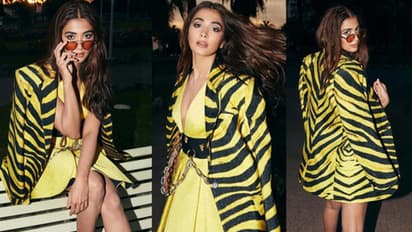 கேன்ஸ் விழாவில் பீஸ்ட் நாயகி அணிந்து வந்த செருப்பு விலை இத்தனை லட்சமா?- அந்த காசுல ஒரு சொகுசு காரே வாங்கிடலாமே