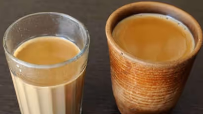 International Tea Day 2022: चाय की चुस्की से होती है सुबह की शुरुआत, जानें इसका इतिहास और 8 फायदे