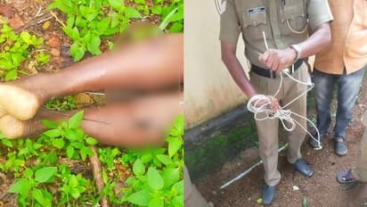 പന്നിക്കെണിയിൽ നിന്ന് ഷോക്കേറ്റ് മരണം, വിതുരയിൽ ഒരാൾ അറസ്റ്റിൽ