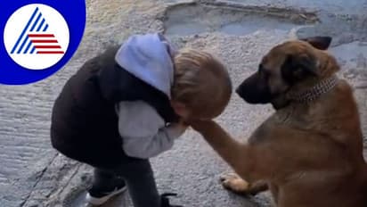 ಶ್ವಾನದೊಂದಿಗೆ ಮಗುವಿನ ಆಟ: ಆಡುತ್ತಾ ಆಡುತ್ತಾ ಮುತ್ತಿಟ್ಟ ಪುಟ್ಟ