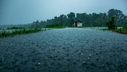 Parts of India to witness light to moderate rainfall, No heatwave for next five days: IMD