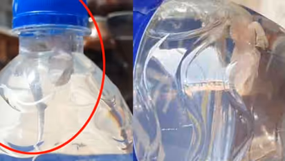 சமயபுரம் மாரியம்மன் கோவில் வாட்டர் பாட்டிலில் இறந்து கிடந்த பல்லி.. அதிர்ச்சியில் பக்தர்கள்..!