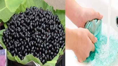 इन 2 चीजों की मदद से जामुन के जिद्दी दाग को करें साफ, चमक उठेंगे कपड़े