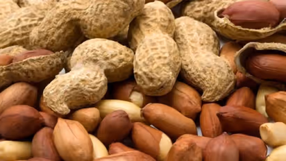 Side effect of eating peanuts: வேர்க்கடலையில் இவ்வளவு பக்கவிளைவுகள் இருக்கா..? யாரெல்லாம் சாப்பிட கூடாது..