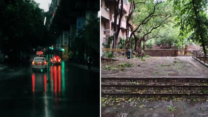 नौतपे से पहले मानसूनी गतिविधियों का असर, देश के कई राज्यों में फिर धूलभरी आंधी व बारिश का अलर्ट, गर्मी से राहत