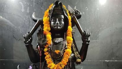 শনিবার ভুলও এই দুই রান্নার উপকরণ কিনবেন না, জ্যোতিষ মতে শনির রোষে পড়বেন